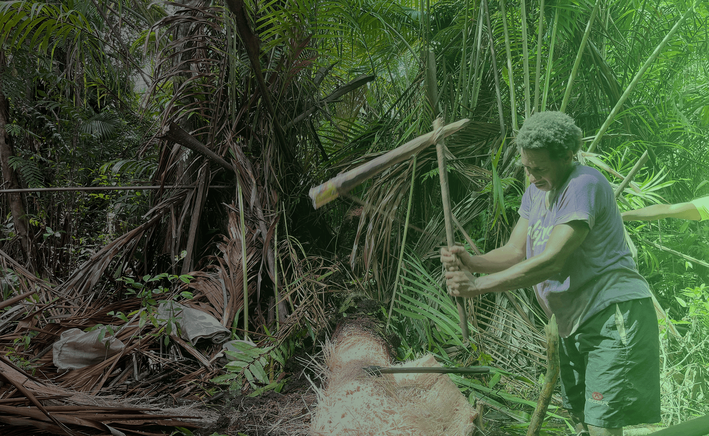 No alternative text provided