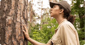 No alternative text provided